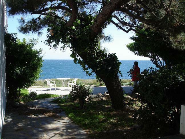 Estrella Del Mar Apartment El Port De La Selva ภายนอก รูปภาพ